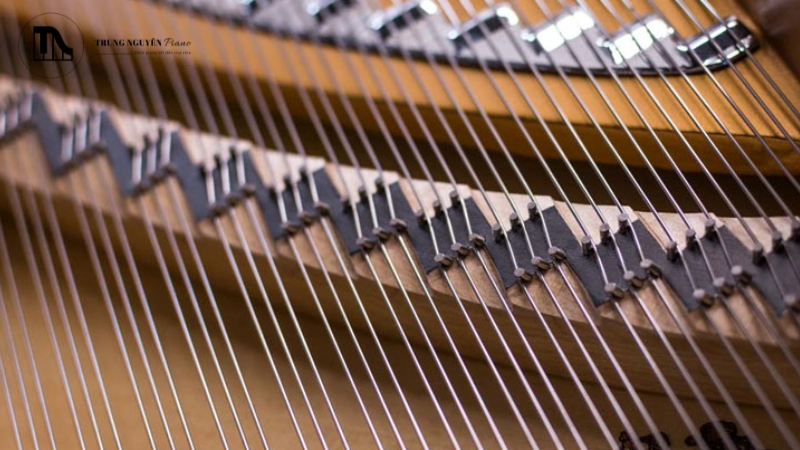 Độ ngân của đàn phụ thuộc vào các yếu tố liên quan đến cầu ngựa