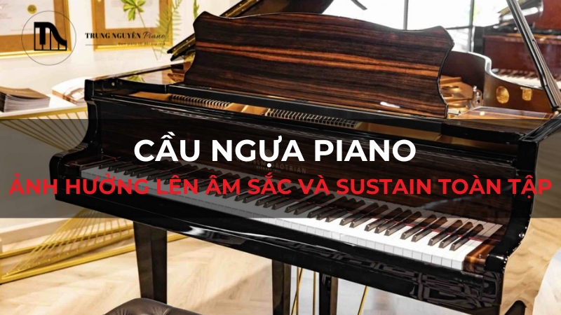 Cầu ngựa piano: Ảnh hưởng lên âm sắc và Sustain toàn tập