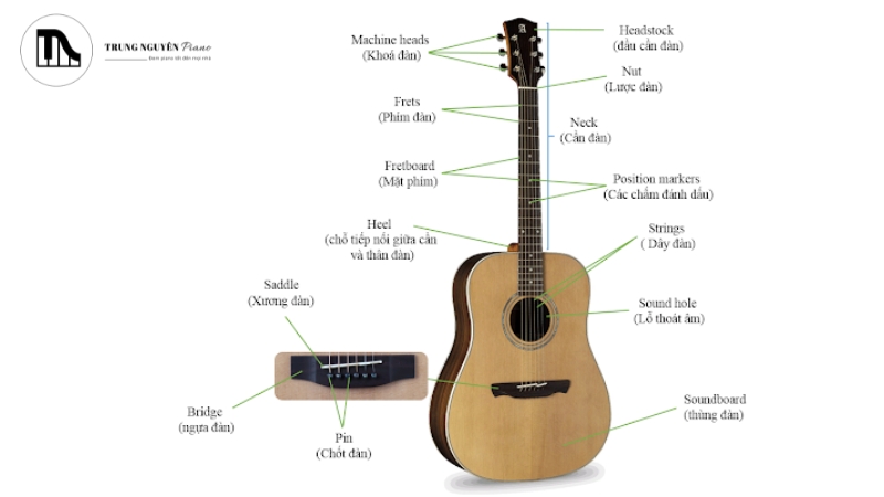 Tổng quan về các bộ phận chính của đàn Guitar