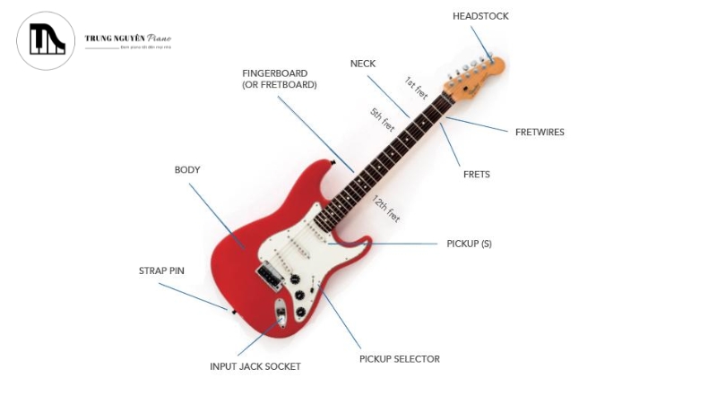 Cấu tạo đặc trưng của đàn Guitar Điện