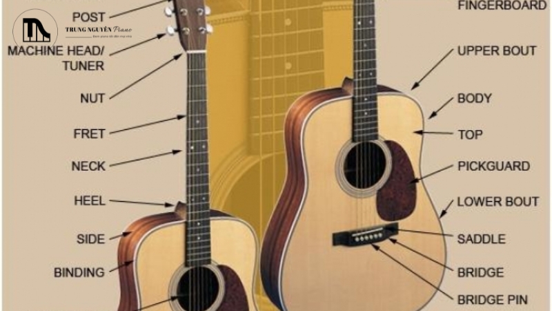 Cấu tạo đàn guitar
