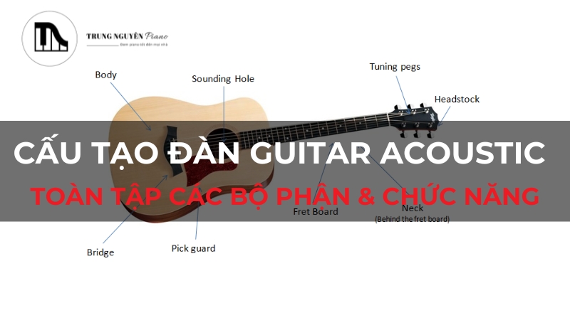 Cấu tạo đàn Guitar Acoustic: Toàn tập các bộ phận & chức năng