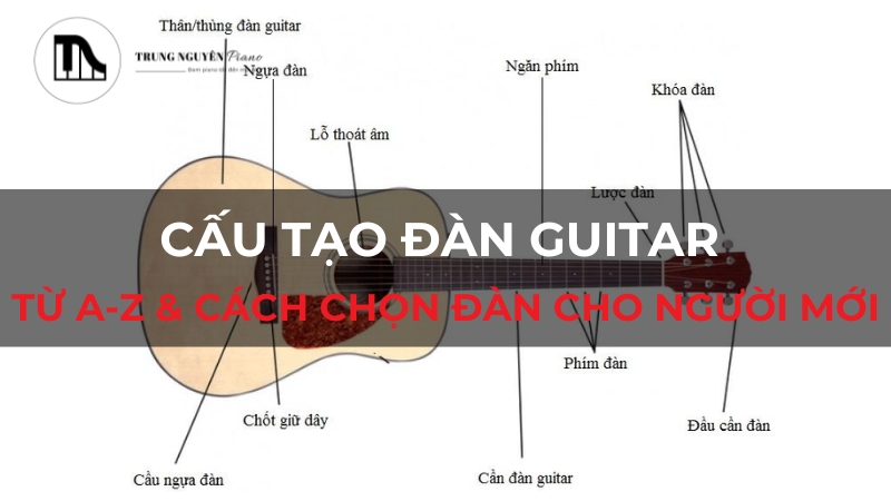 Cấu tạo đàn Guitar: Từ A-Z & Cách chọn đàn cho người mới