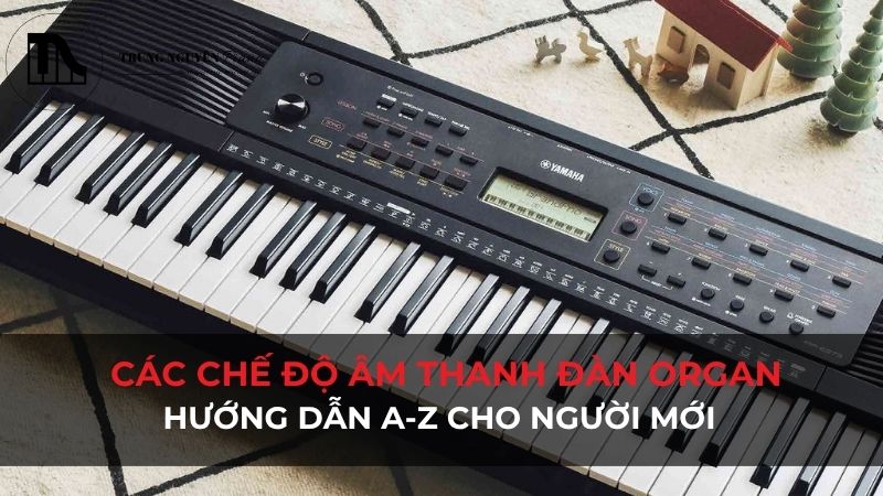 Các chế độ âm thanh đàn Organ: Hướng dẫn A-Z cho người mới