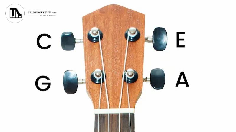 Chỉnh âm đàn Ukulele: 3 Cách đơn giản & chính xác nhất 2 Cần đàn ukulele với chú thích rõ ràng tên nốt G, C, E, A