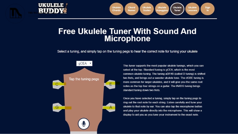 Chỉnh âm đàn Ukulele: 3 Cách đơn giản & chính xác nhất 6 Chỉnh dây bằng Website Online