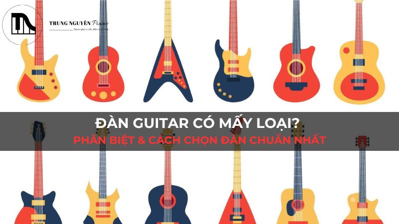 Đàn Guitar có mấy loại? Phân biệt & cách chọn đàn chuẩn nhất