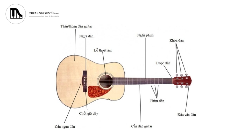 Cấu trúc bên trong của thân đàn cũng là một yếu tố then chốt