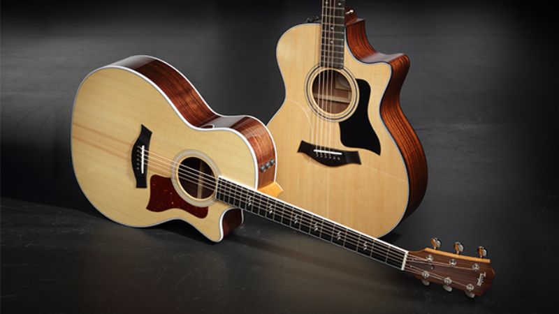 Taylor 214ce và 314ce – hai lựa chọn đa năng cho cả người bán chuyên và biểu diễn