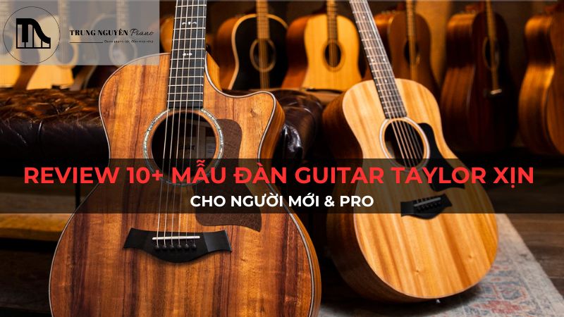Review 10+ mẫu đàn guitar Taylor xịn cho người mới & pro