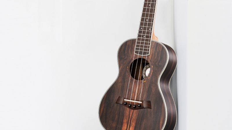 Đàn ukulele Tenor Andrew có giá nhỉnh hơn nhờ kích thước lớn và hoàn thiện nổi bật