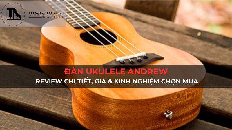 Đàn Ukulele Andrew: Review chi tiết, giá & kinh nghiệm chọn mua