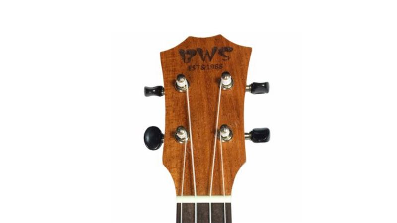 Thương hiệu BWS EST chuyên sản xuất nhạc cụ phổ thông, nổi bật với chất lượng và giá hợp lý cho người mới bắt đầu