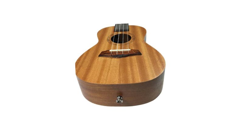 Ukulele BWS B01-23 thiết kế nhỏ gọn, bề mặt sơn mờ tinh tế