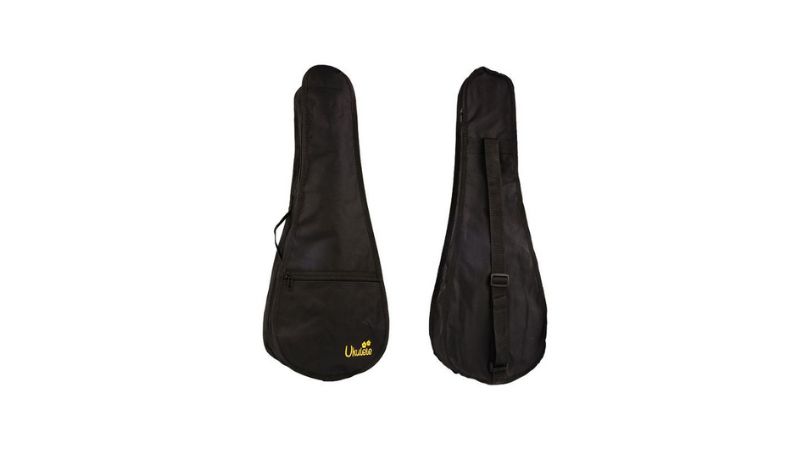 Cất đàn trong bao chuyên dụng để giảm bụi bẩn và va đập