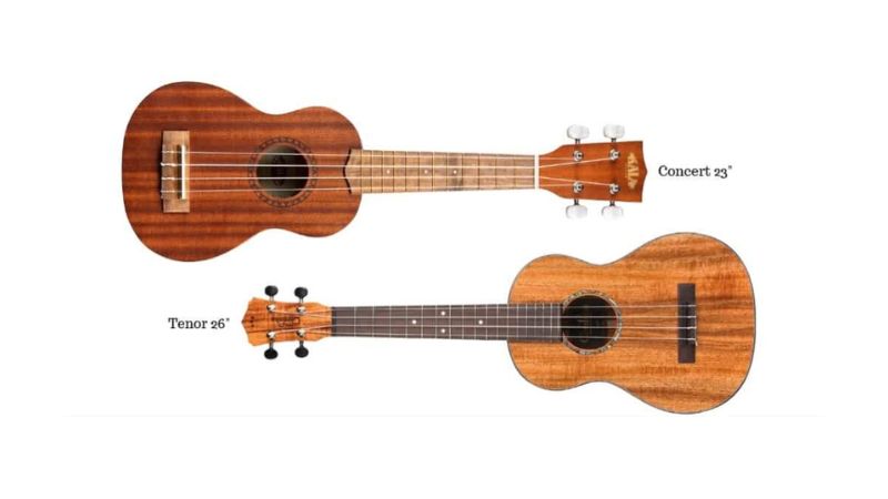 Đàn Ukulele Concert: Hướng dẫn chọn mua & so sánh A-Z 2 Ukulele Tenor lớn hơn Concert, cho âm thanh trầm ấm và sustain dài hơn