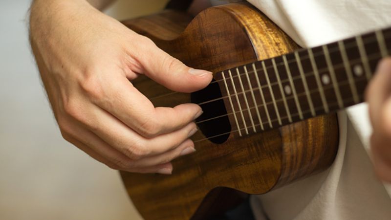 Đàn Ukulele Concert: Hướng dẫn chọn mua & so sánh A-Z 3 Ukulele Concert lý tưởng cho người mới và người chơi có bàn tay trung bình đến lớn