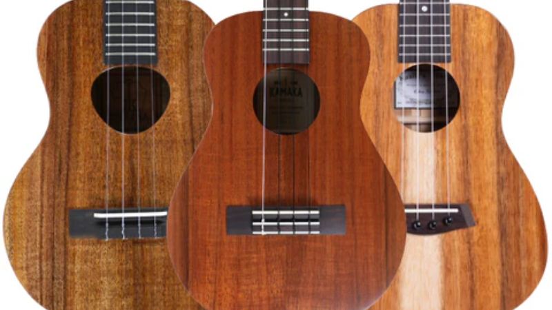 Đàn Ukulele Concert: Hướng dẫn chọn mua & so sánh A-Z 4 Các loại gỗ phổ biến như Mahogany, Koa, Spruce ảnh hưởng đến âm sắc của đàn Concert
