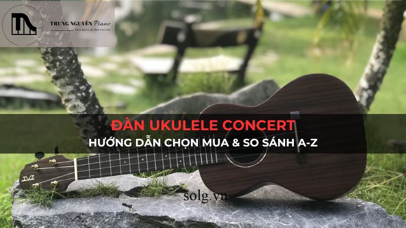Đàn Ukulele Concert: Hướng dẫn chọn mua & so sánh A-Z