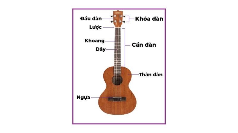 Các bộ phận đàn ukulele soprano