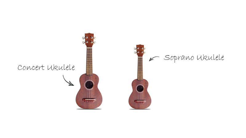 Ukulele soprano nhỏ gọn, dễ bấm; concert lớn hơn, âm thanh đầy đặn – cả hai đều lý tưởng cho người mới