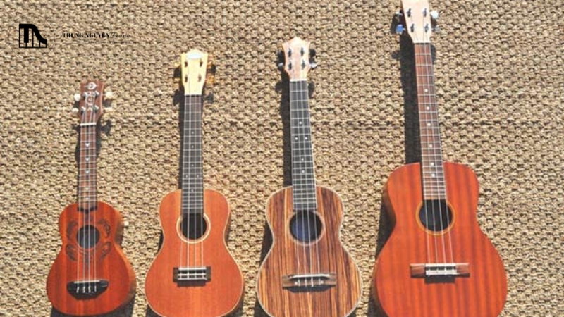 So sánh Ukulele với Guitar