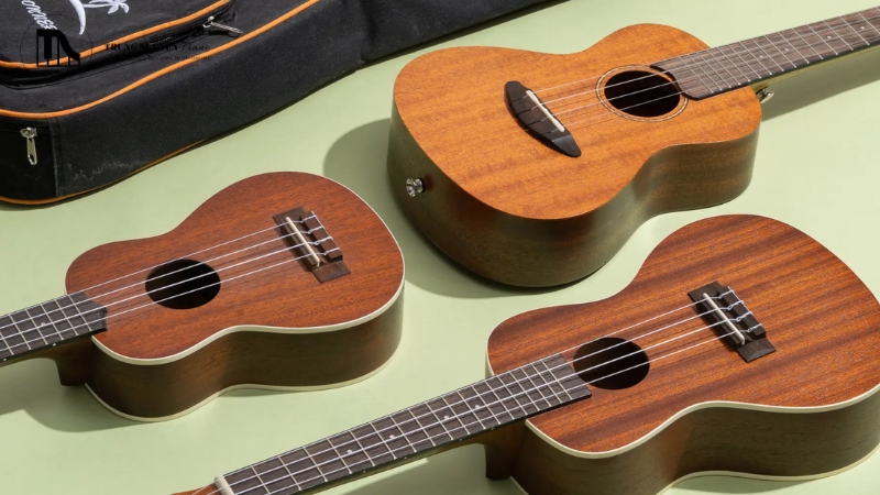 Đối tượng phù hợp với ukulele Yamaha