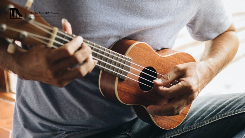 Đánh đàn Ukulele bài dễ nhất: Hướng dẫn 4 hợp âm cho người mới 1 Ukulele là một loại đàn nhỏ có nguồn gốc từ Hawaii
