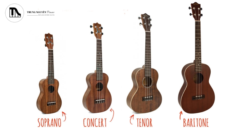 Bốn cây Ukulele kích thước Soprano, Concert, Tenor, Baritone