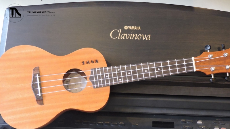 Tự học Ukulele tại nhà
