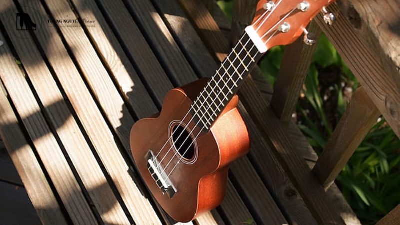 Đánh đàn Ukulele bài dễ nhất: Hướng dẫn 4 hợp âm cho người mới 2 Ukulele chinh phục người chơi ở mọi lứa tuổi
