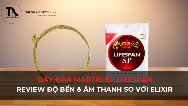 Dây đàn Martin SP Lifespan: Review độ bền & Âm thanh