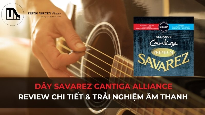 Dây Savarez Cantiga Alliance: Review chi tiết & Trải nghiệm âm thanh