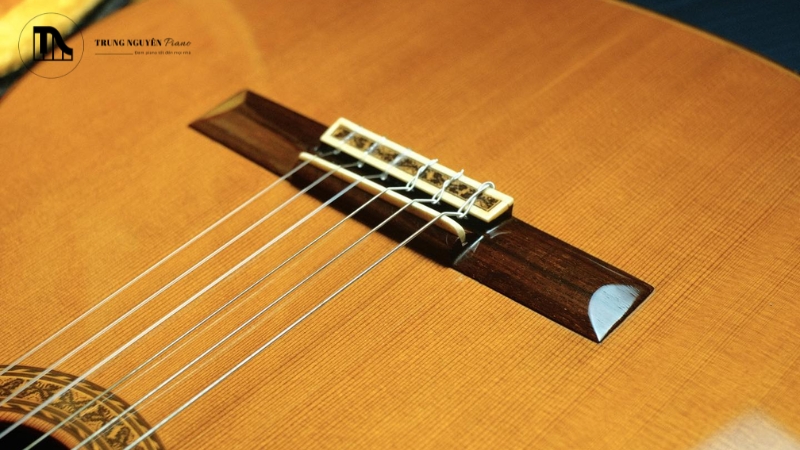 Đứt dây đàn guitar có nguy hiểm không? 5 Cảnh báo & cách phòng 8 Kiểm tra và điều chỉnh các bộ phận đàn