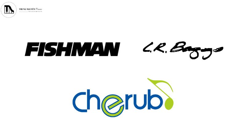 Các thương hiệu EQ nổi tiếng như Fishman, L.R. Baggs và Cherub được giới nhạc công ưa chuộng