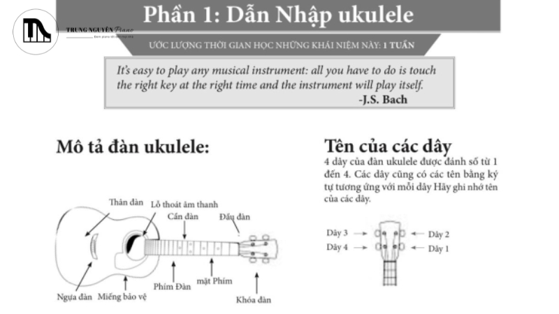 Lý thuyết nền tảng và nhạc lý cơ bản