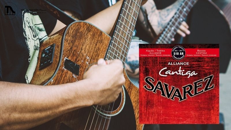 Tìm hiểu về dây đàn Savarez Cantiga Alliance