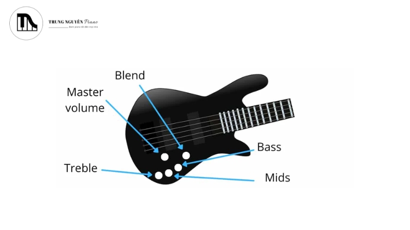 Guitar Bass là gì: Cấu tạo, vai trò & cách chọn cho người mới 4 Các bộ phận chính của Guitar Bass