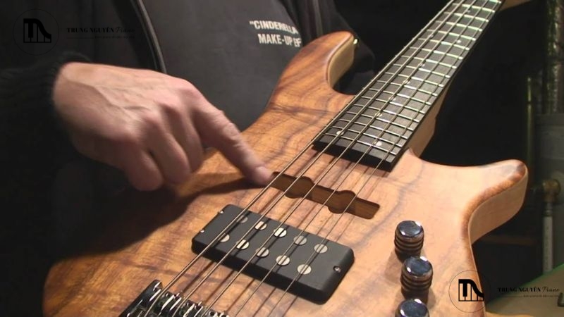 Guitar Bass là gì: Cấu tạo, vai trò & cách chọn cho người mới 7 Guitar Bass 5 dây và 6 dây (mở rộng âm vực)