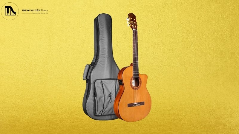 Guitar Classic thùng mỏng là gì? Ưu nhược điểm và kinh nghiệm chọn mua 6 Guitar Classic Cordoba C5-CET