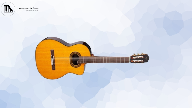 Guitar Classic Takamine có mấy loại, có tốt không? Review chi tiết 7 Có nên mua Guitar Classic Takamine