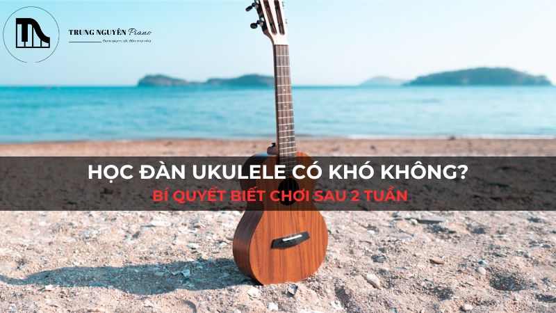Học đàn Ukulele có khó không? Bí quyết biết chơi sau 2 tuần