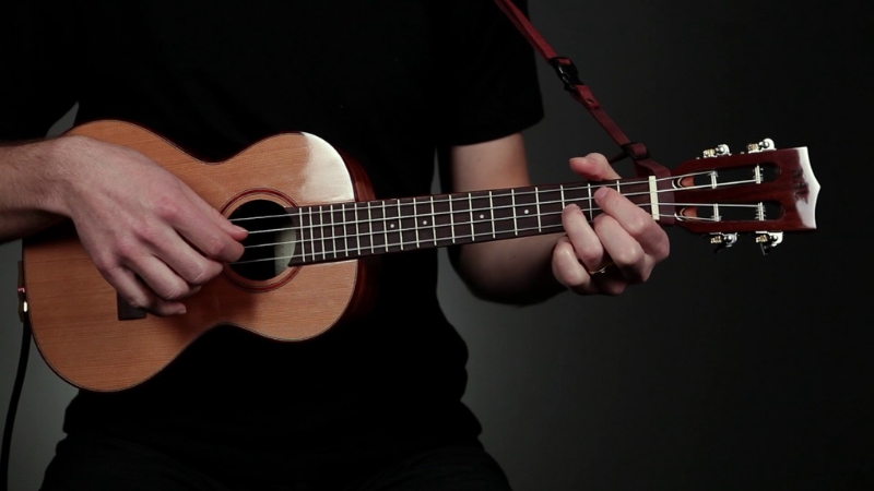 Với kích thước nhỏ gọn, Ukulele dễ mang theo bên mình đến bất cứ đâu