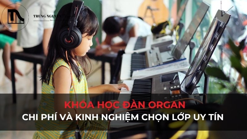 Học phí khóa học đàn organ và kinh nghiệm chọn lớp uy tín