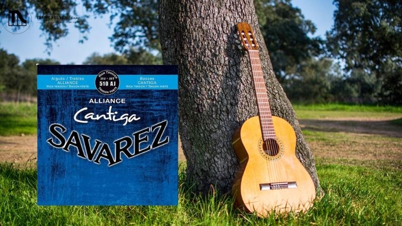 Cách bảo quản và chọn Savarez Cantiga Alliance chính hãng