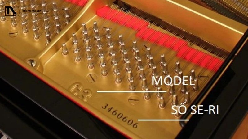 Cách xác định số serial đàn yamaha 