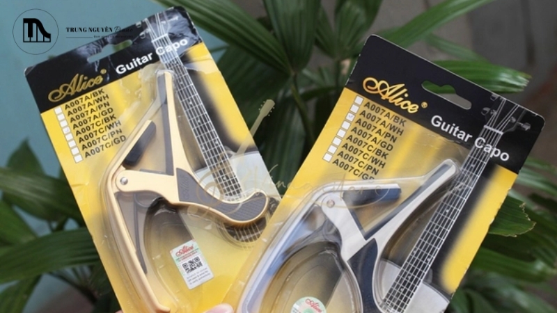 Các thương hiệu capo uy tín bạn có thể tham khảo là Musedo, Alice