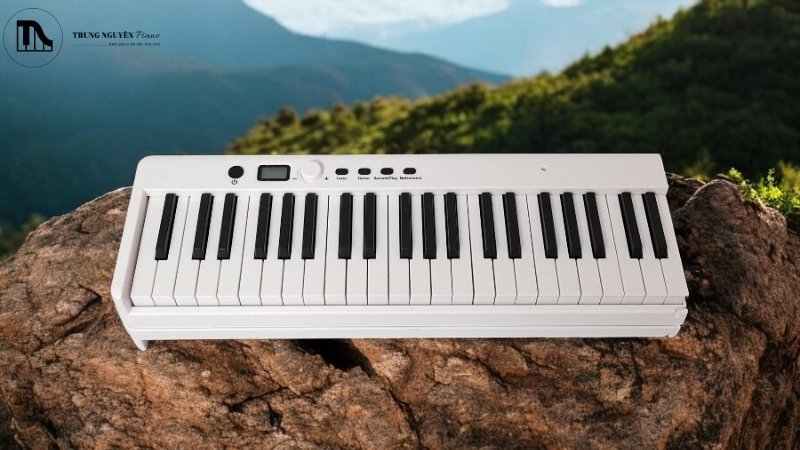 Tính năng kết nối trên đàn Bora BX20