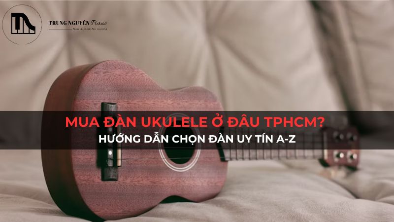 Mua đàn Ukulele ở đâu TPHCM? Hướng dẫn chọn đàn uy tín A-Z