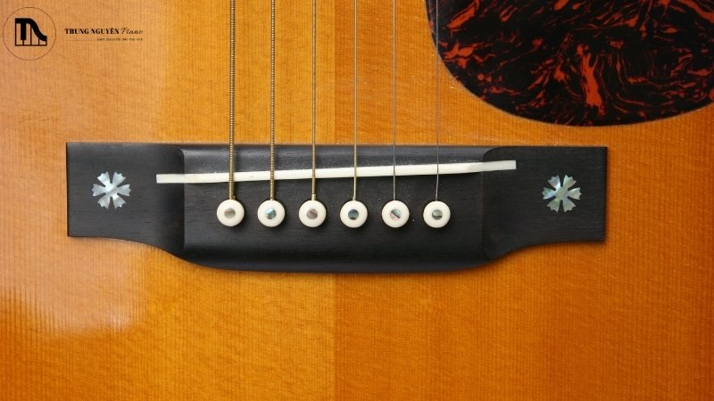 Tìm hiểu về ngựa đàn guitar